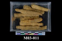 藏品(褐鐵礦結核)的圖片